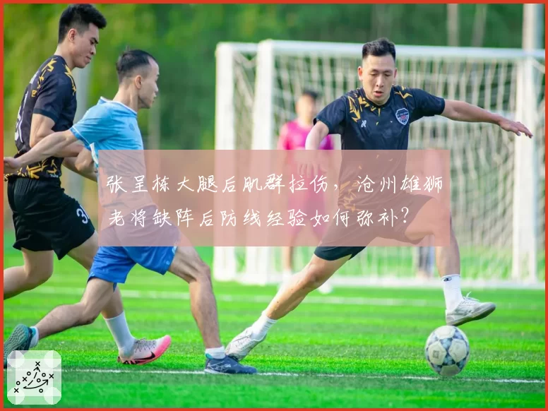 张呈栋大腿后肌群拉伤,沧州雄狮老将缺阵后防线经验如何弥补?