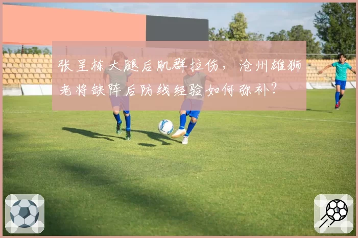 张呈栋大腿后肌群拉伤,沧州雄狮老将缺阵后防线经验如何弥补?